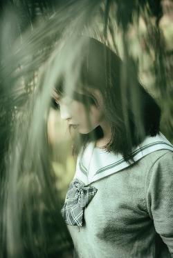 斗罗大陆1在线观看全集免费播放